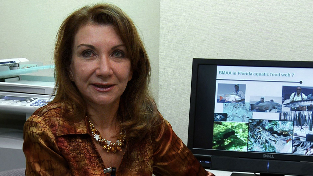 Dr. Deborah Mash Dr. Deborah Mash